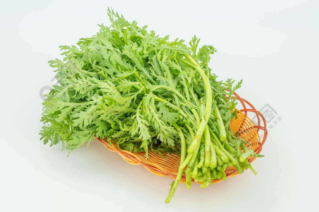 蔬菜茼蒿高清摄影图片