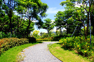 藍天白雲綠樹黃花灌木小徑( i>園 /i> i>林 /i>小景)