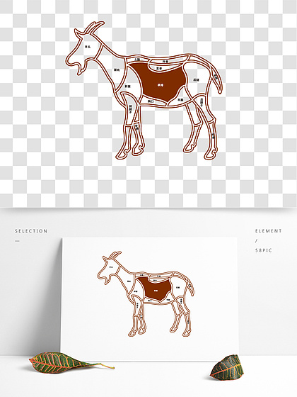 【羊部位分解圖解剖圖分割圖】圖片免費下載_羊部位分解圖解剖圖分割