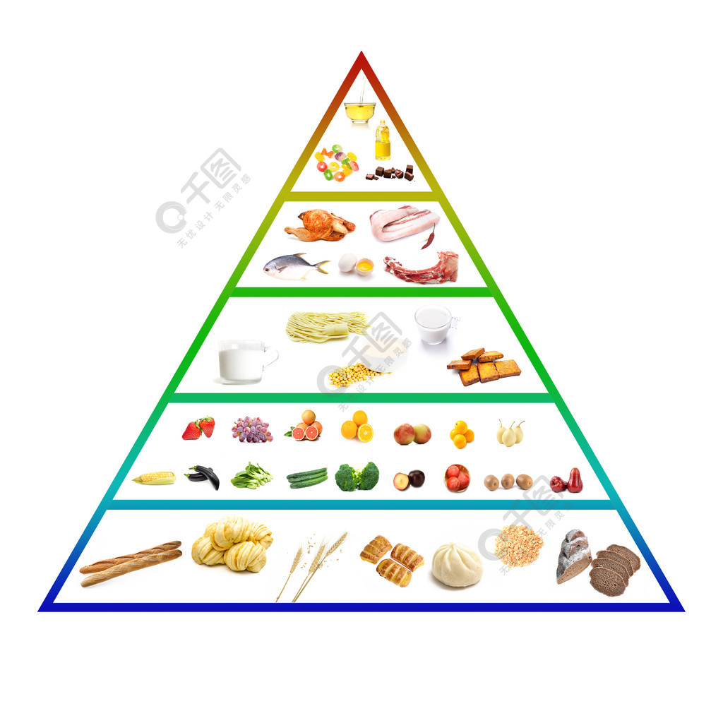 食物金字塔