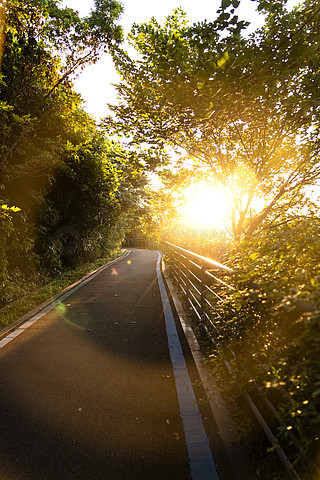 太阳照着道路的图片图片