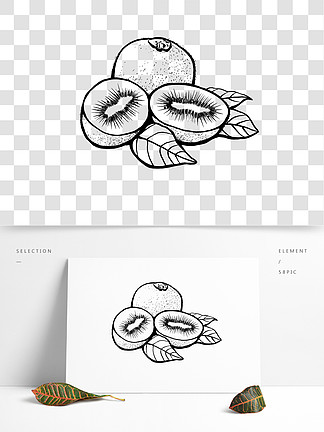 3设计元素卡通手绘水果素材草莓猕猴桃1315可爱卡通手绘猕猴桃11560