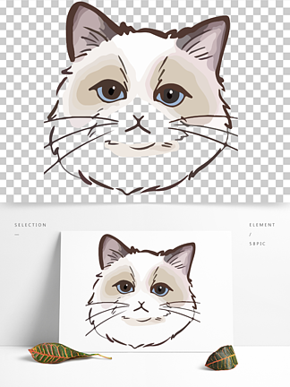 卡通手繪布偶貓貓頭像可愛簡筆畫簡約