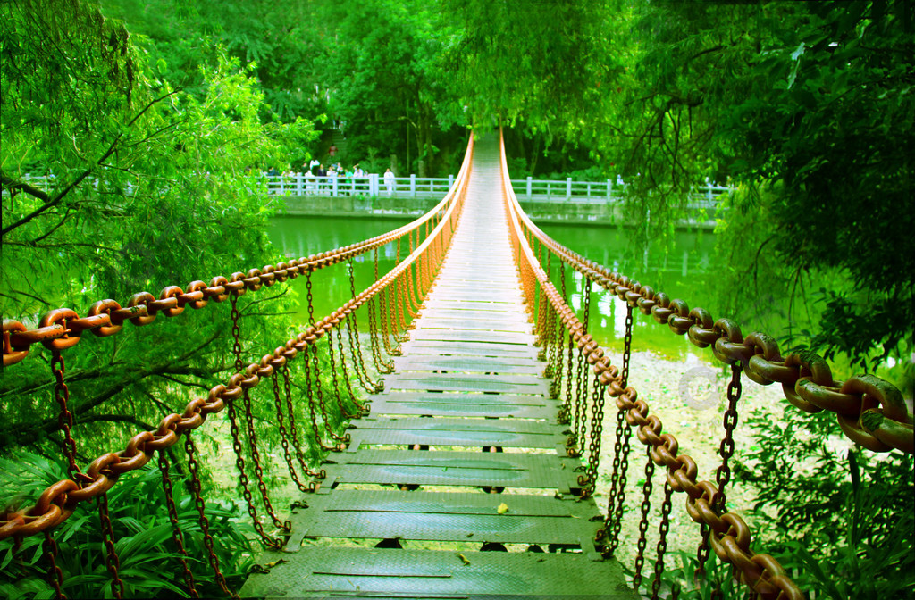 东湖公园铁索桥图片