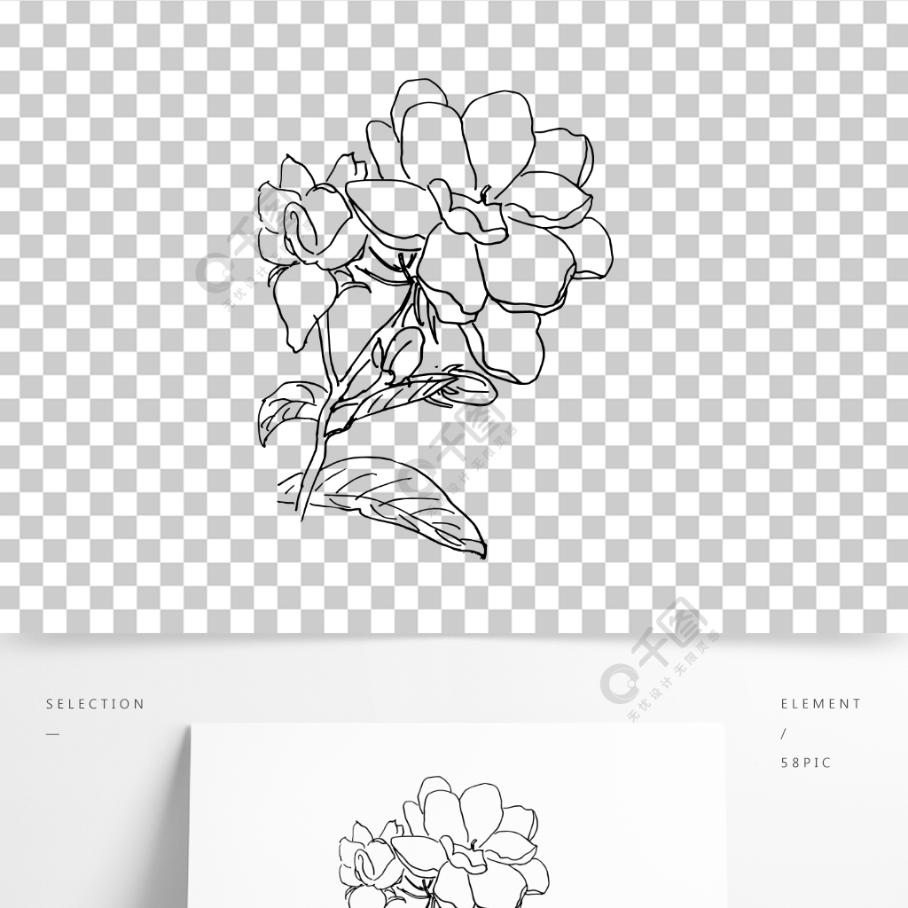 手繪茉莉花線描插畫茶葉包裝元素