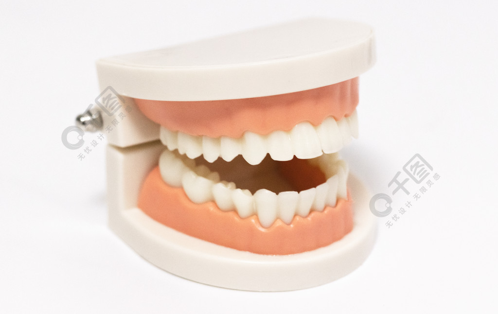 口腔健康牙齿模型护理