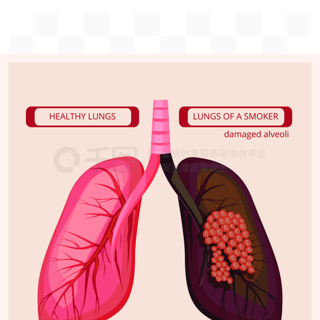 ߵķ̶˵ΣΰʸҽѧϢͼͼƬ߷ΰinfographicСӽ֤ߵķ̶˺ΰʸҽѧϢͼͼƬ