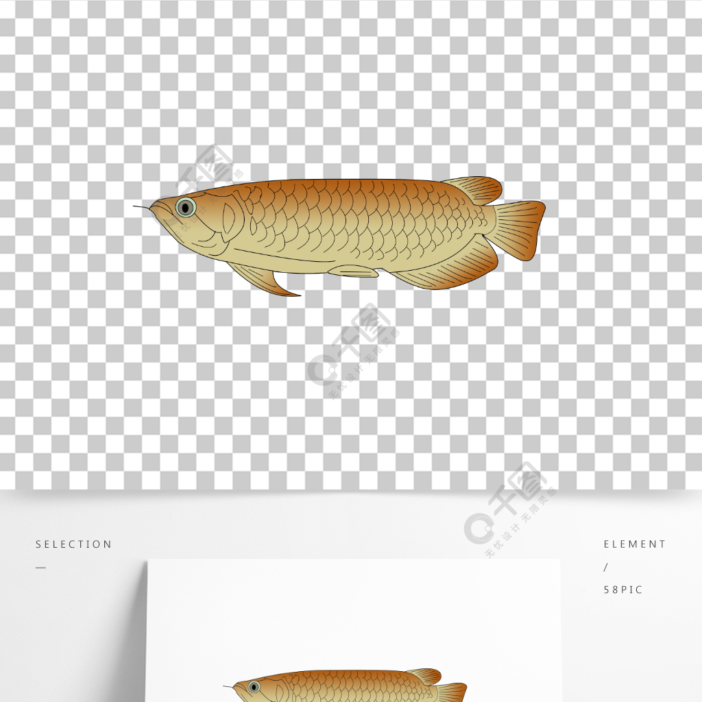 卡通手绘线稿霸气显露金龙鱼素材