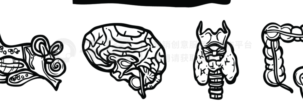 人體解剖學內部人體器官素描裝飾圖標設置孤立的矢量圖