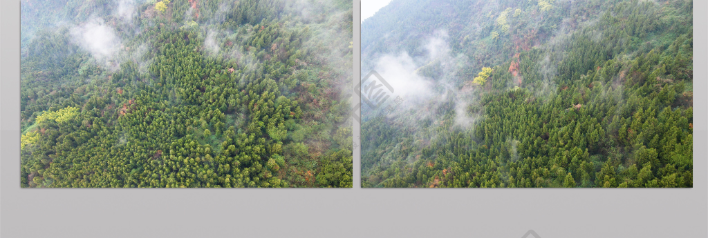 4K航拍绿色植物生态环境云雾缭绕人间仙境