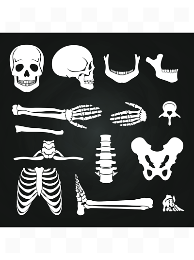 骨骼剪影设计素材免费下载