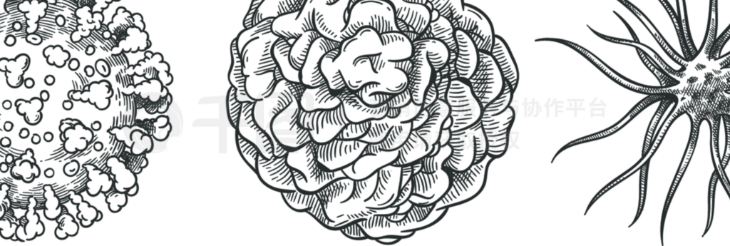 財ϸ״ϸѧ΢лԪCovid-19ϸֻʸͼѿ΢covid-19Ƶ΢財ϸ״ϸѧ΢лԪCovid-19ϸ