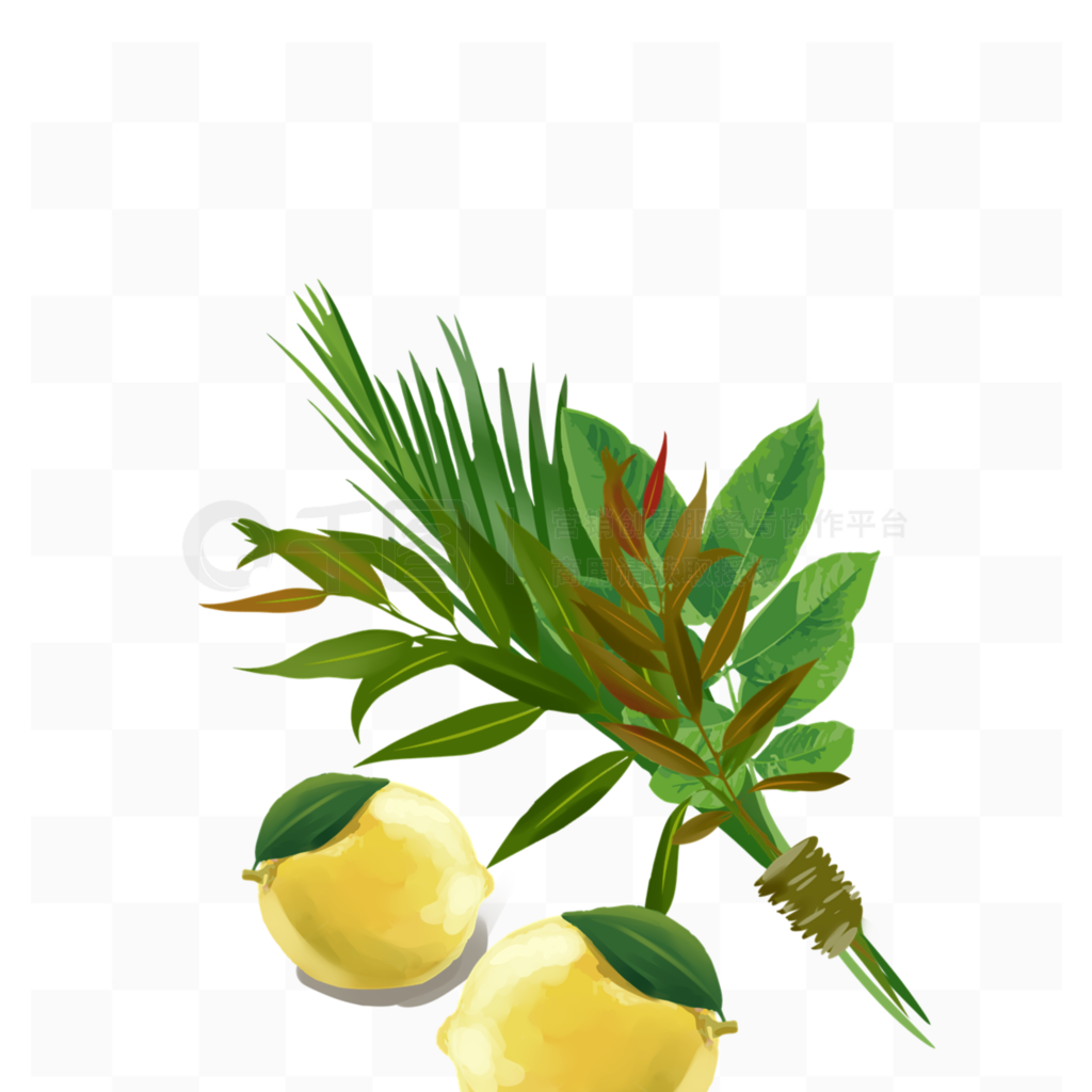 sukkotֲֻԪ