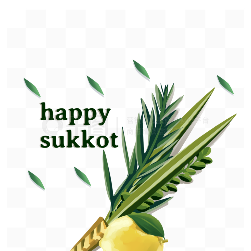 sukkotֻҶԪ