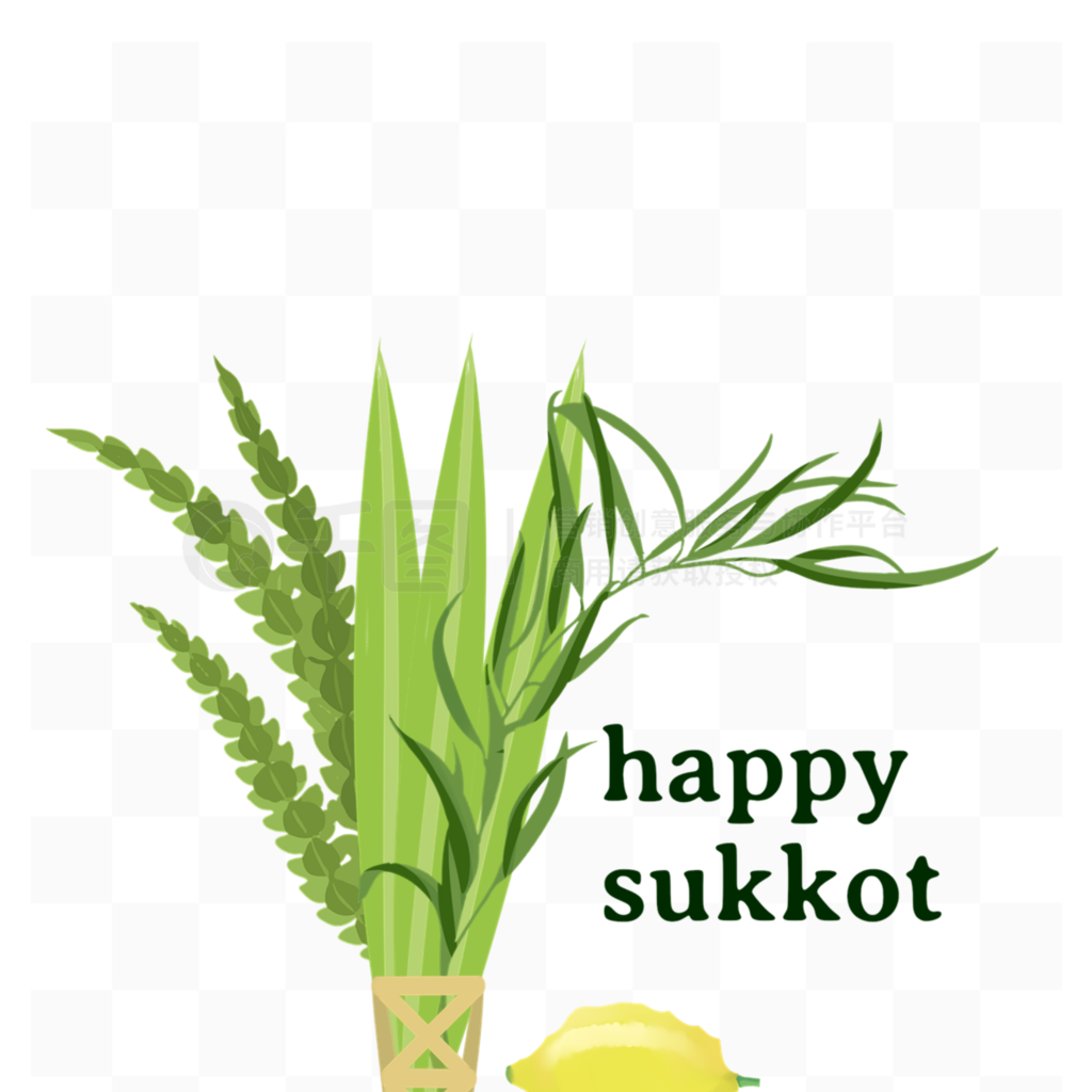 first day of sukkotС·֦Ԫ