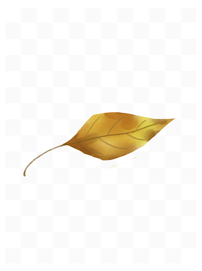 金黄的树叶设计素材免费下载
