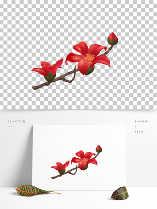 原創手繪花卉 i>廣 /i> i>州 /i>市花木棉花