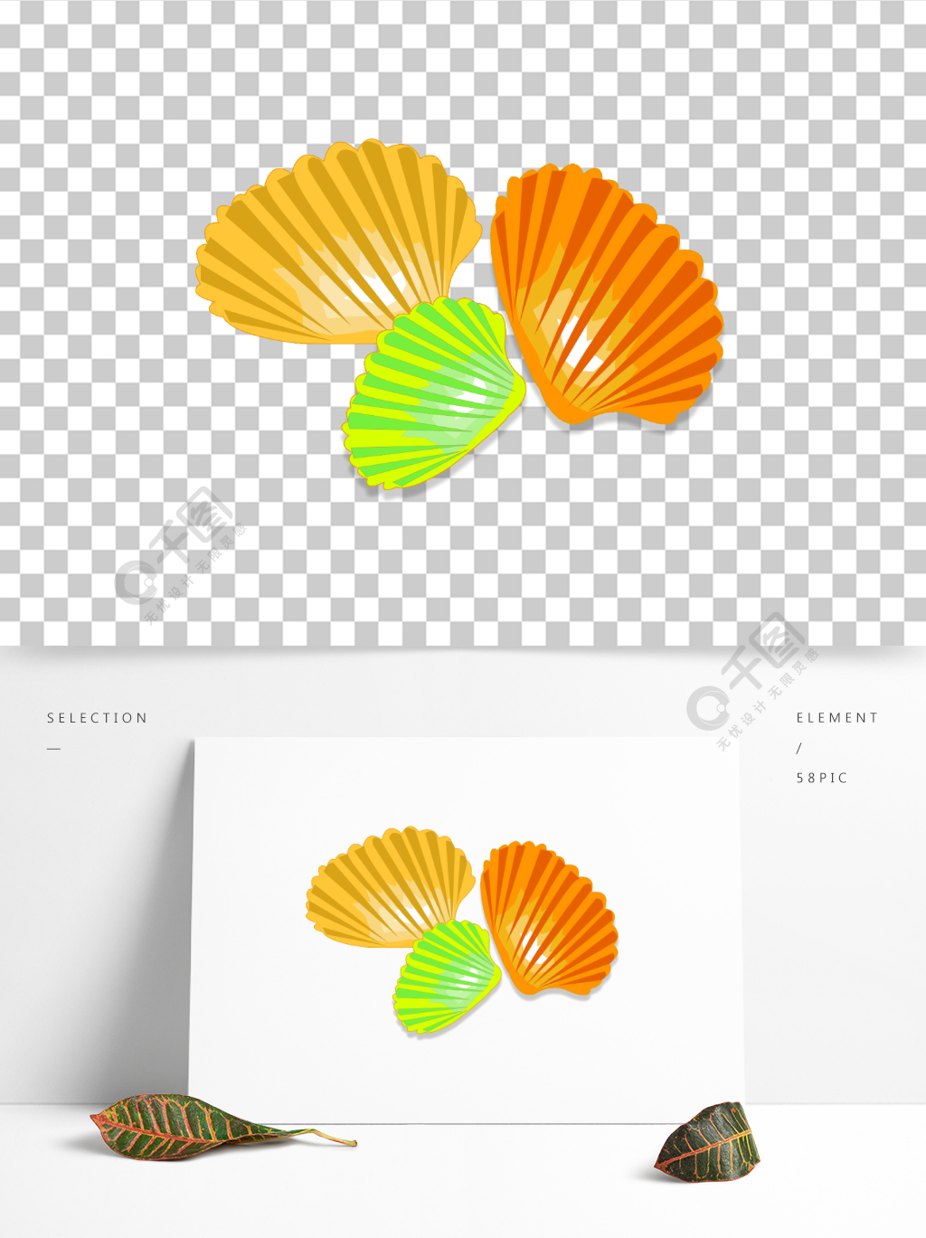 设计元素29贝壳原创矢量免抠素材