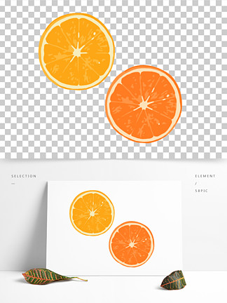 水果矢量可爱橙子横切 i