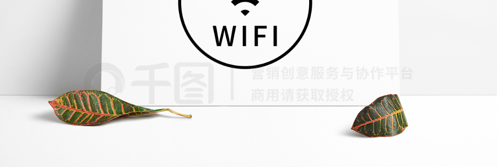 WIFIͼ ͼ