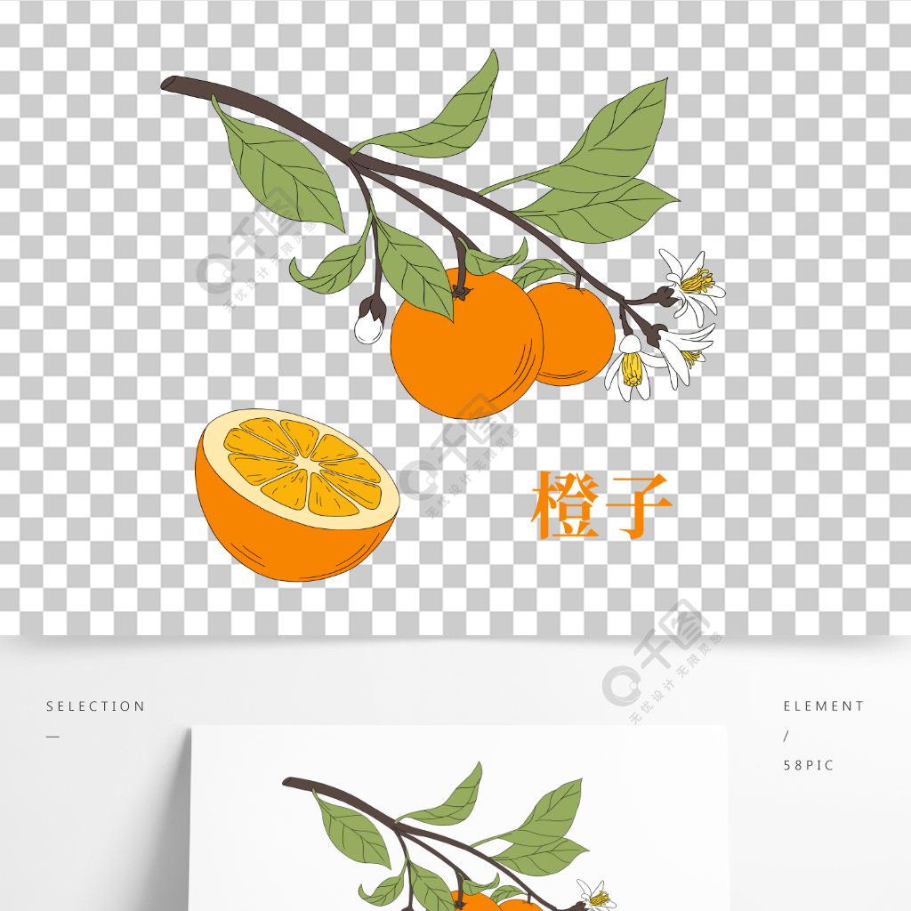卡通手繪水果橙子橘子樹美食png素材