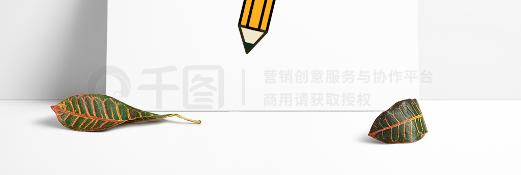 Ǧpencilɫ