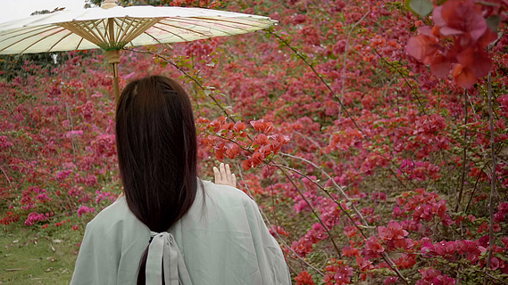 梅花树下女子背影古风图片