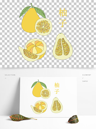 【柚子 卡通】圖片免費下載_柚子 卡通素材_柚子 卡通模板-千圖