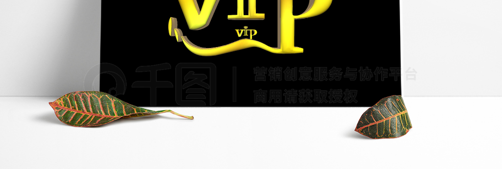 ɫVIPVIP