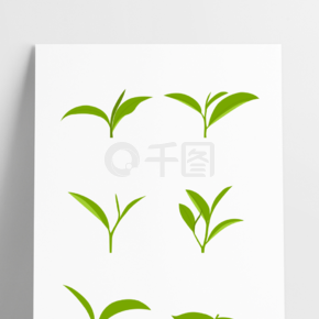 茶芽设计图片