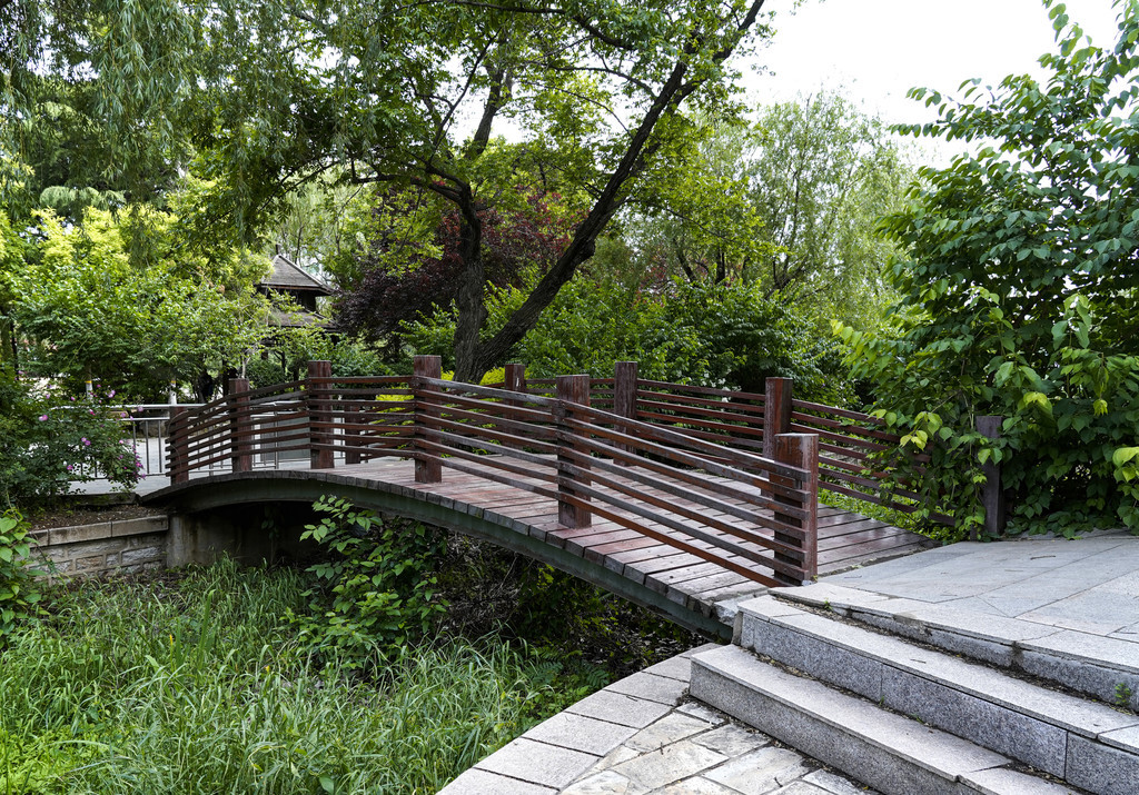 實木獨木橋公園風景