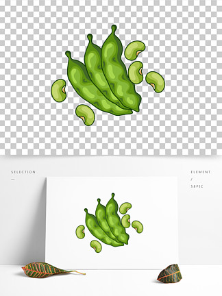 豌 i>豆 /i>莢顆粒飽滿青 i>豆 /i> i>矢 /i> i>量 /i>手繪插畫手賬