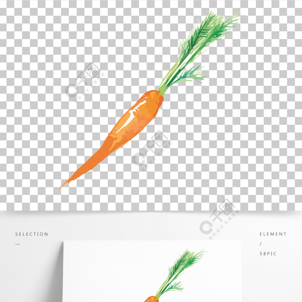手繪水彩蔬菜胡蘿蔔矢量