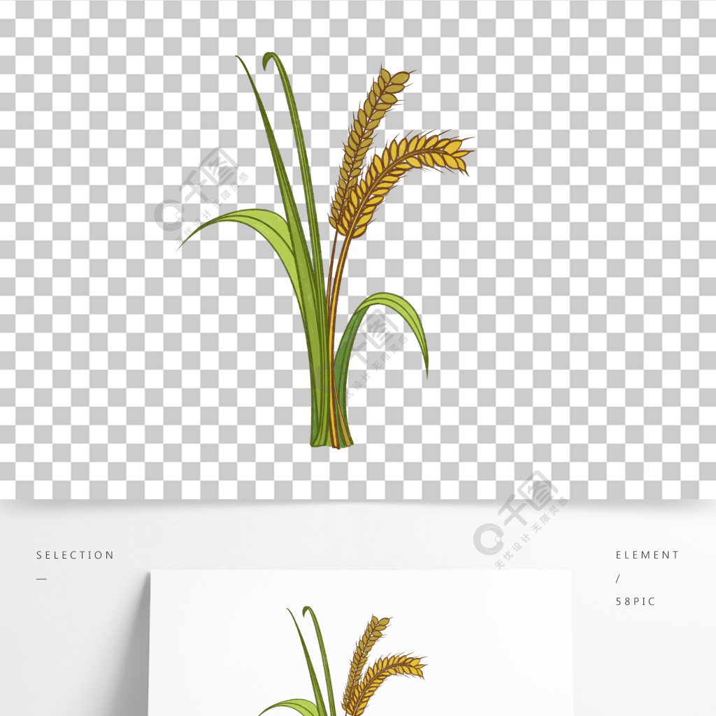 水稻素材免扣素材手绘卡通水稻