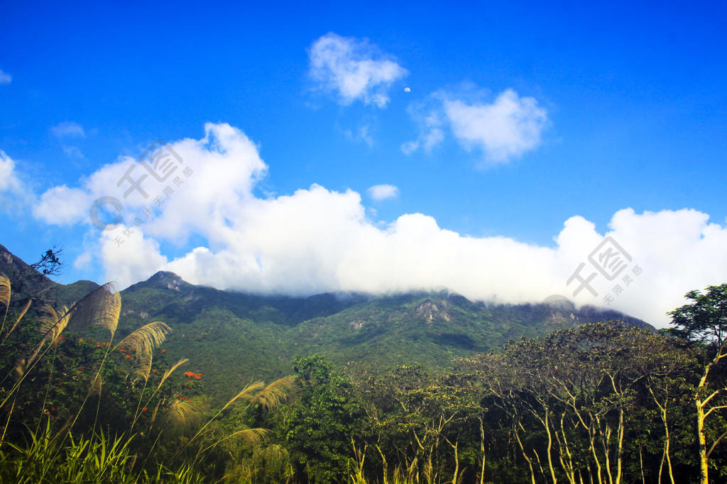 蓝天白云郊外云雾缭绕青山近处灌木丛芦苇丛