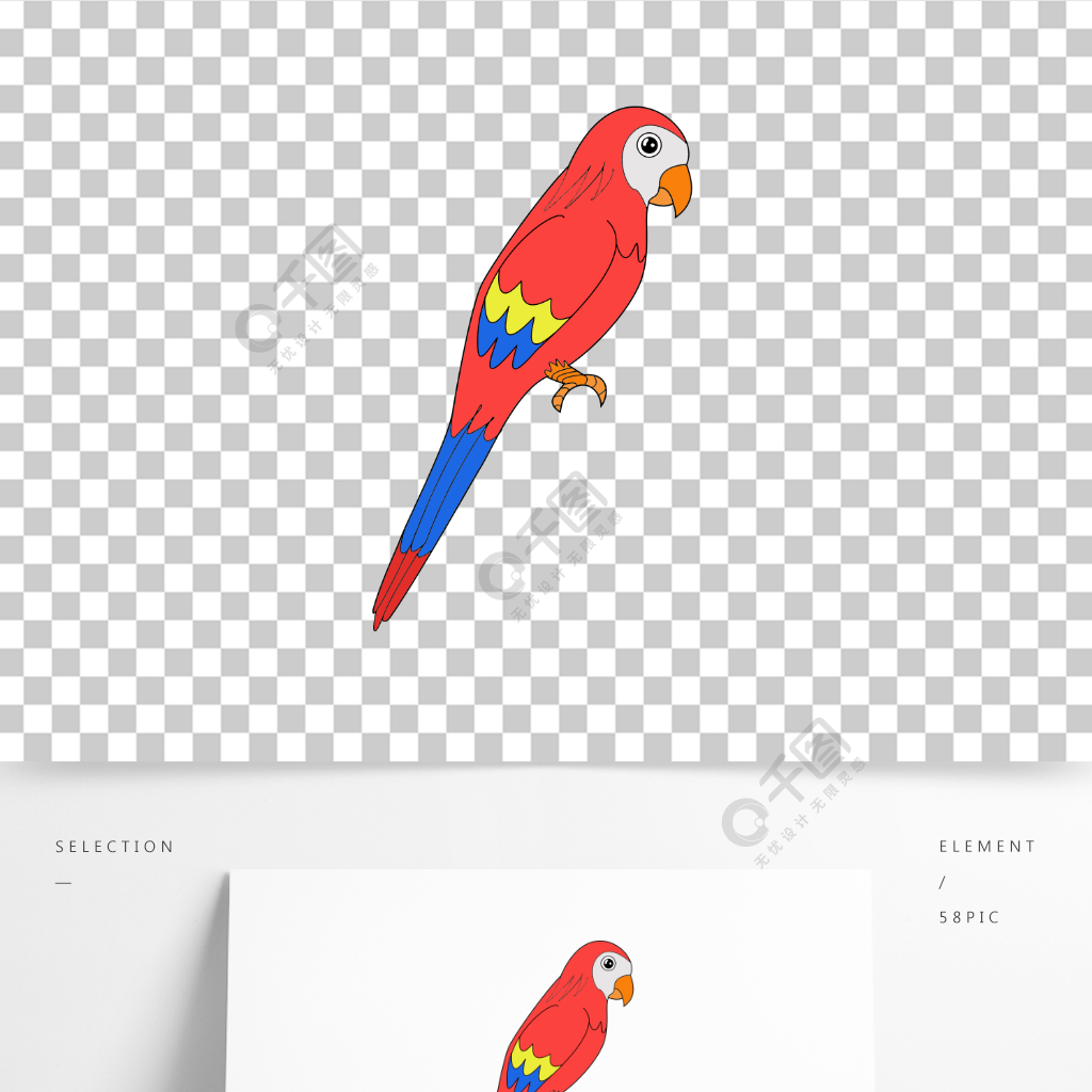 卡通彩色鸚鵡免摳圖圖案