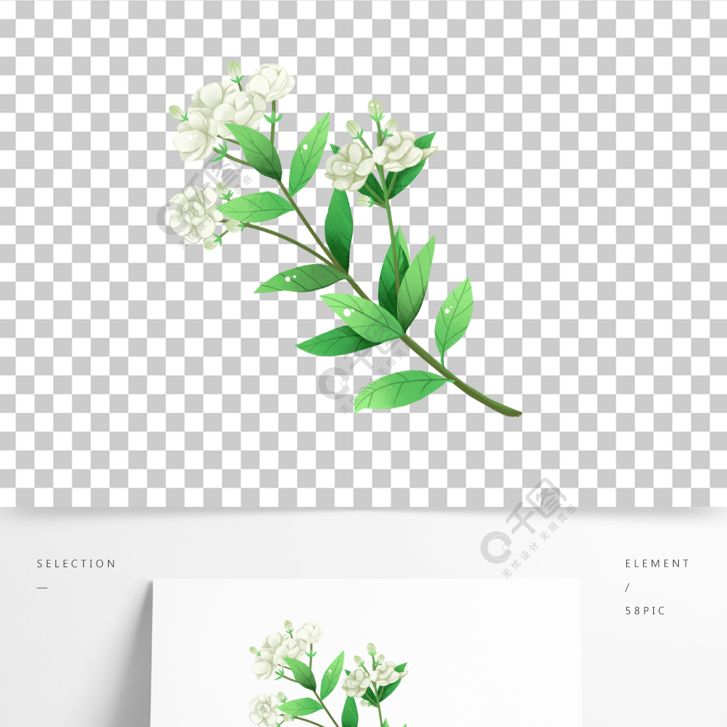 手繪茉莉花插畫花枝卉護膚化妝品花茶元素材模板免費下載_psd格式_200