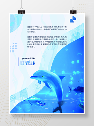 保护白鳍豚公益海报图片
