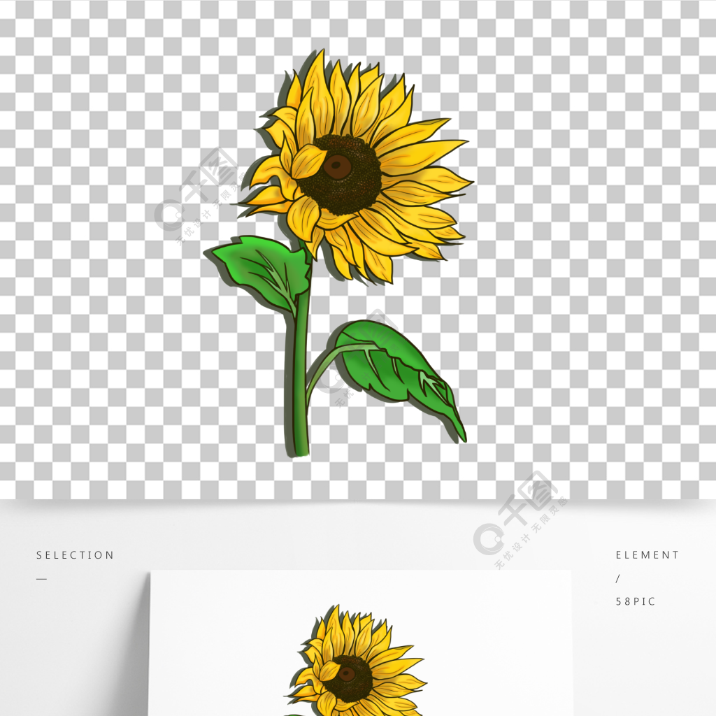 手繪植物向日葵花插畫