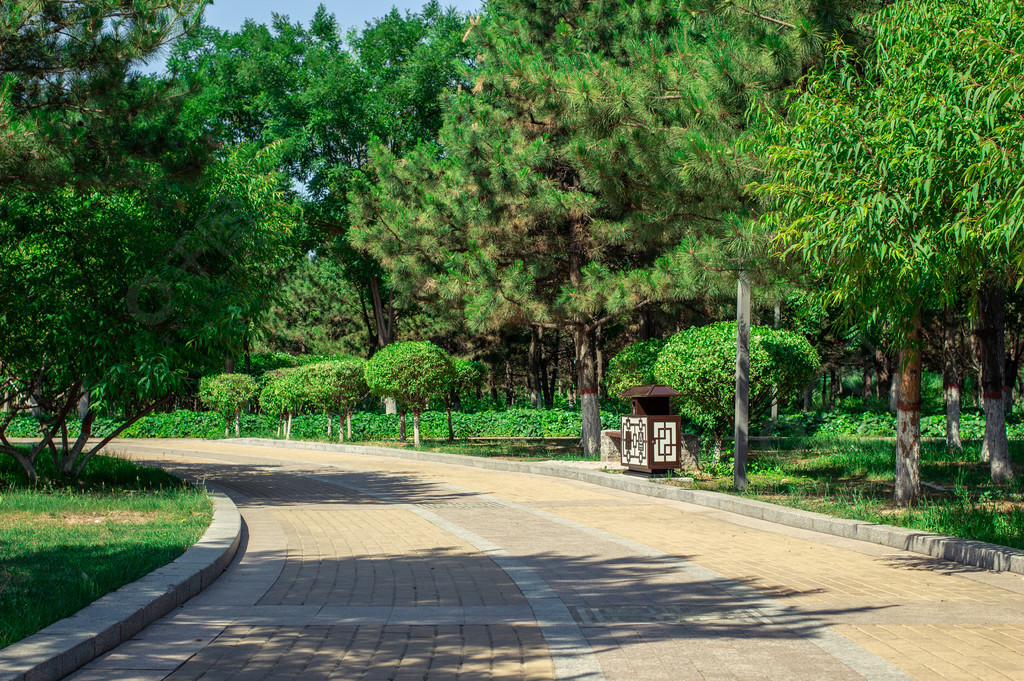 森林公園林蔭小道