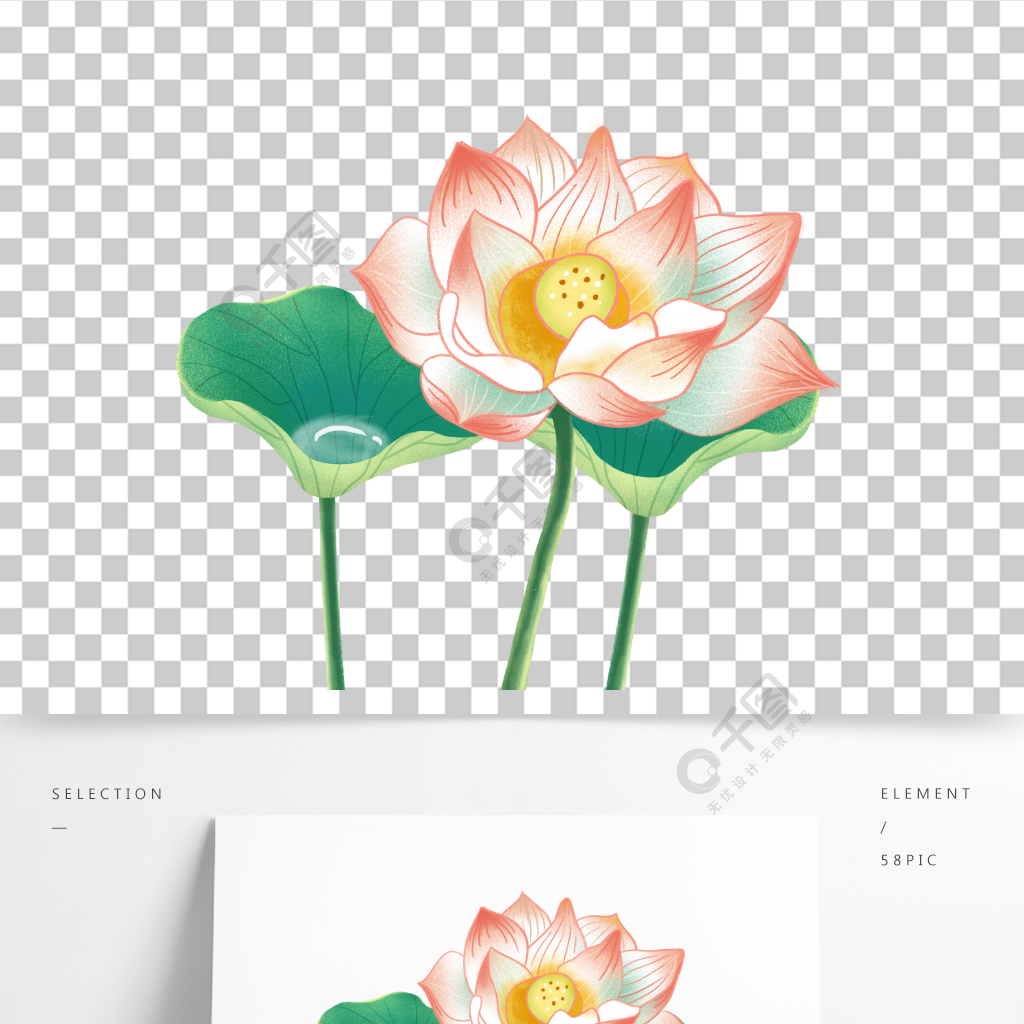 中國風荷花荷葉國風國潮手繪插畫裝飾素材
