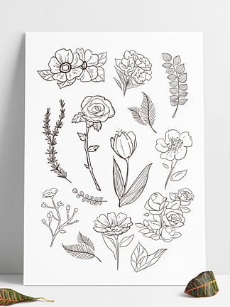 46152线描素描植物花卉叶子矢量装饰图案线描素描植物花卉叶子矢量