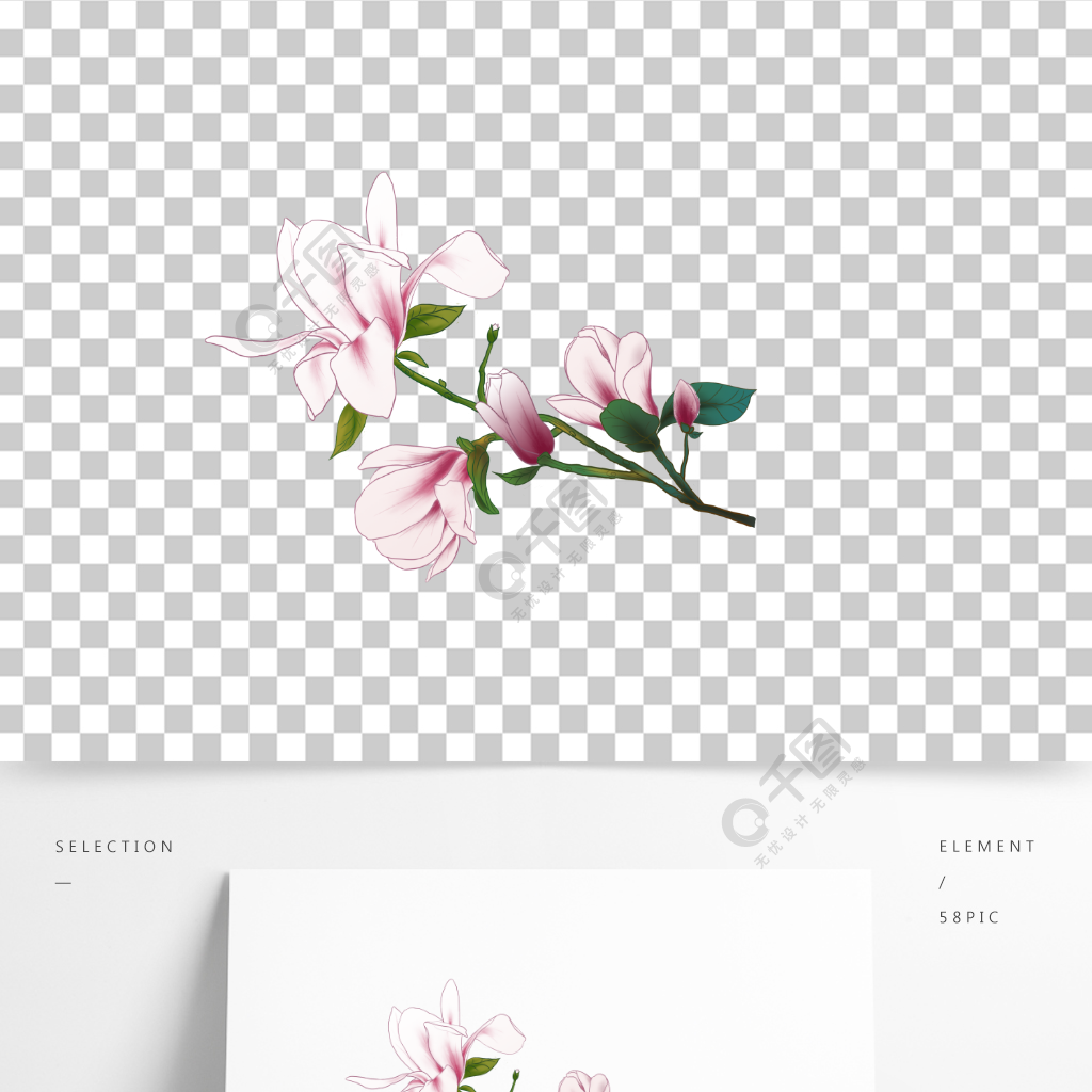 木蘭花插畫國風免摳圖素材元素設計平面花卉