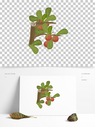 150卡通手绘水果果树叶子李子树卡通手绘水果果树叶子李