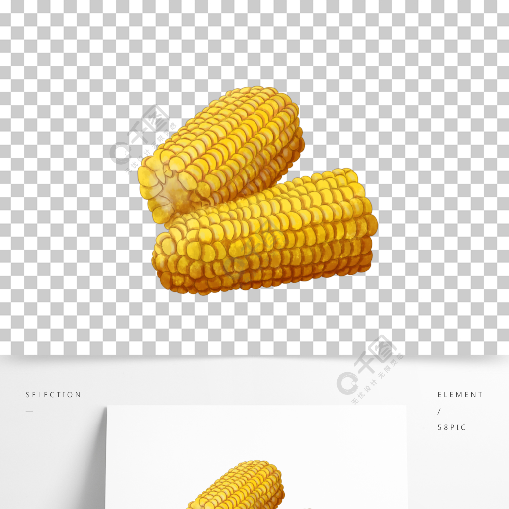 原創手繪玉米農作物食物素材插畫