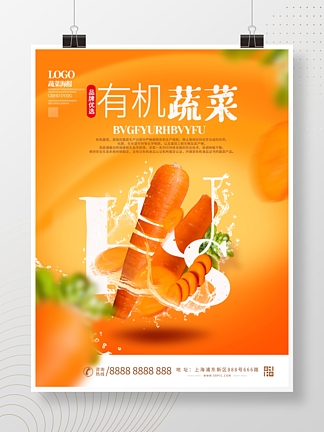 悬浮幻<i>想</i>胡萝卜蔬菜海报