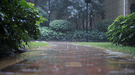 暴雨下雨雨景特寫