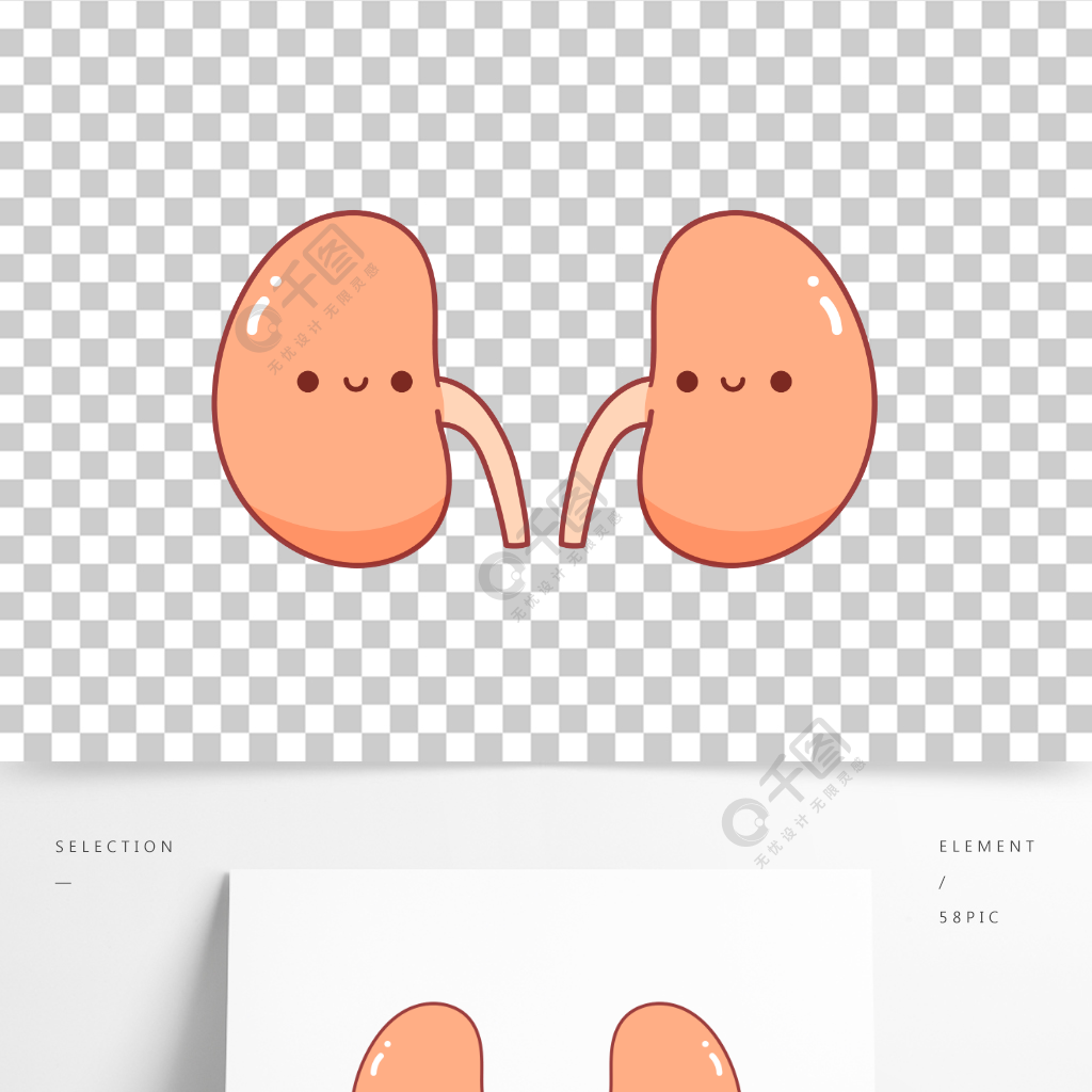 卡通手繪腎臟人體器官線條插畫矢量裝飾元素5月前發佈