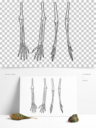 51手繪醫學人體骨骼結構手臂小臂手掌手指關節手繪醫學人體骨骼結構