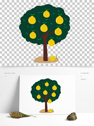 柚子树怎么画简单点图片